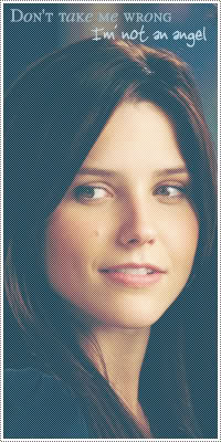 Heaven's Gallerie SophiaBush7