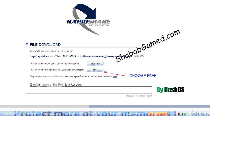 How To Download From Rapishare.Com & Some Information No1