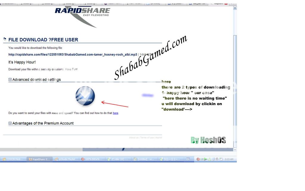 How To Download From Rapishare.Com & Some Information No2