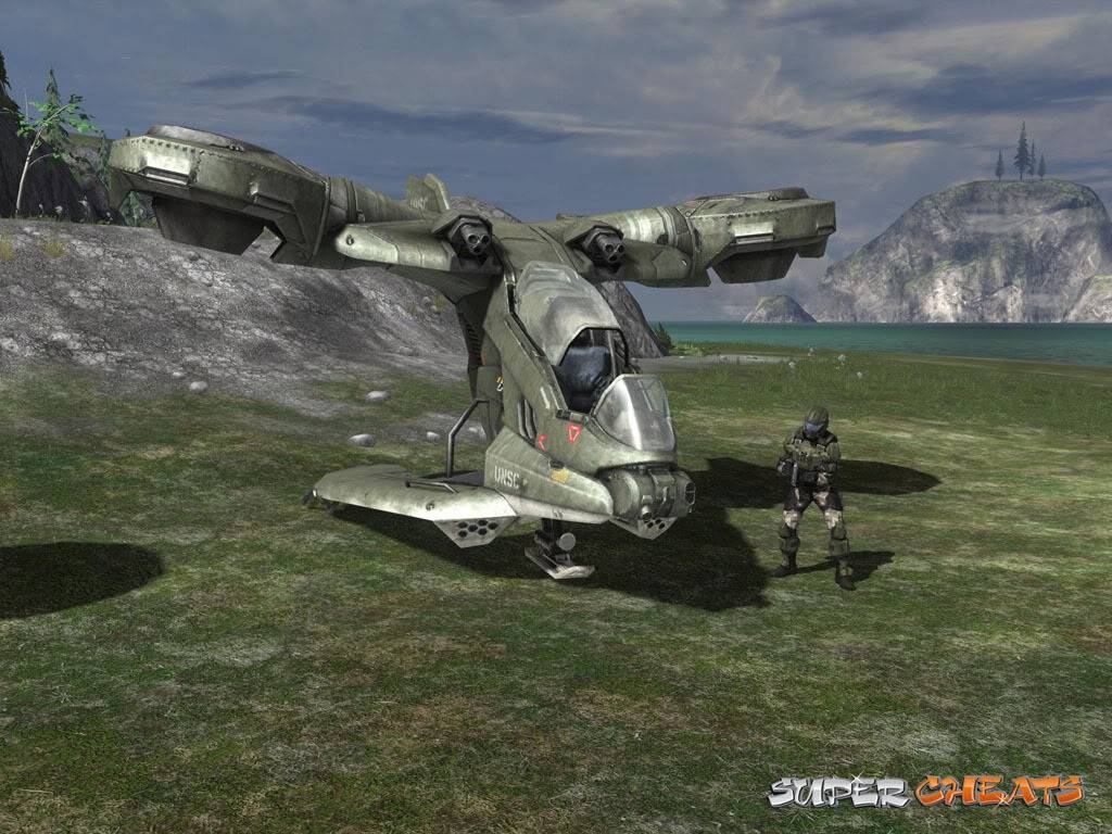 Halo Suggestions and Pic Reference Hornet