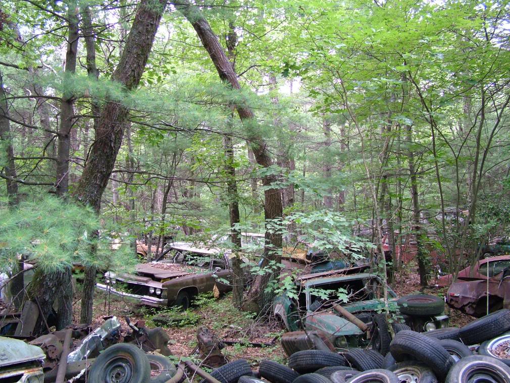 Brobdingnagian (huge-ass) Rhode Island junkyard.  But you're not supposed to go. DSCF7889