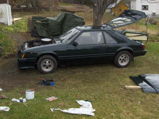 Ford Mustang "rally edition" Rally_side1