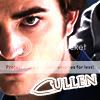 Cannons- personagens principais. Cullen-edward-icon