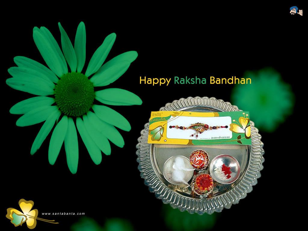 Rakhi 2008 : will be celebrated on 16th August 2008 Rak8v