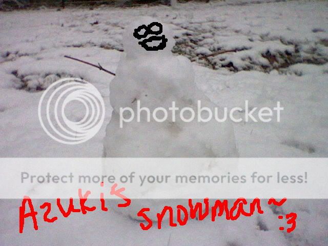 Member Whereabouts Pics! - Page 19 AzukisSnowman