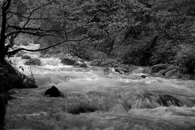 Photo d'une sortie improvisée dans le Bruyant 07-09-2008 A1-1