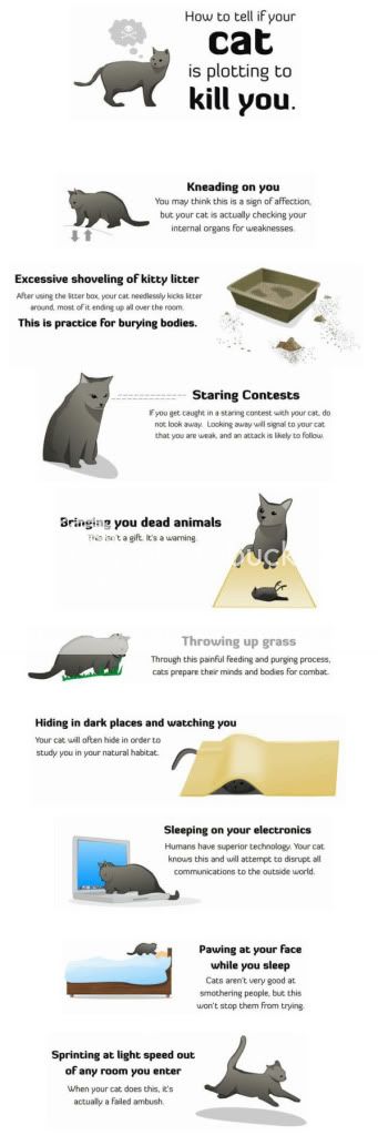 Your life could be in danger!! read the signs! Catwillkillyou