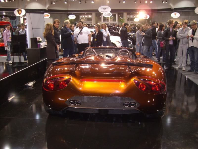 photos salon top cars monaco CIMG0191