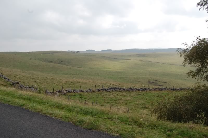 ballade dans l'aubrac DSC_0861