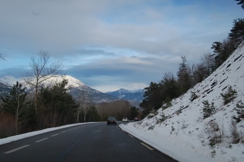 Rasso des Alpes 6 Nov- Toute 1ere Photo DSC_1164