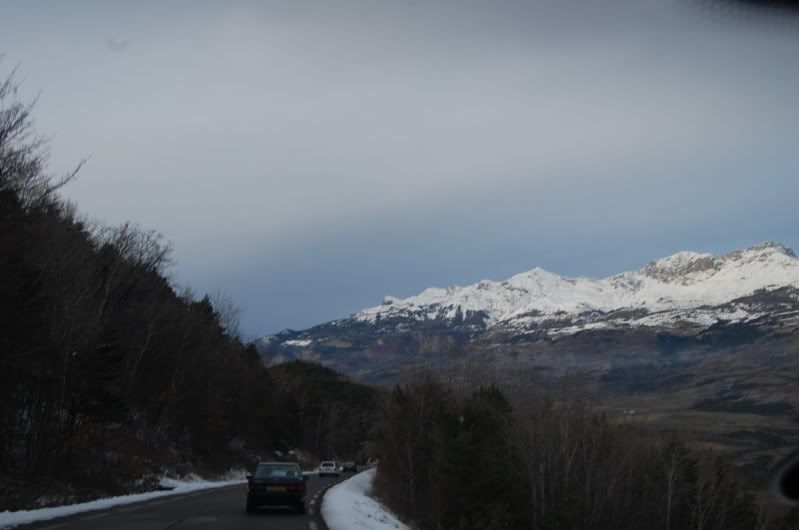 Rasso des Alpes 6 Nov- Toute 1ere Photo DSC_1165