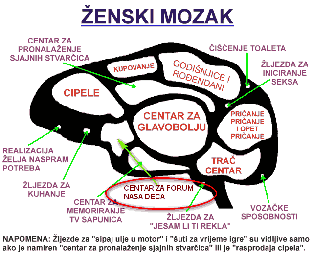 Osobi iznad Vas je rodjendan. Sta biste joj kupili? - Page 3 Th_zenski-mozak-1