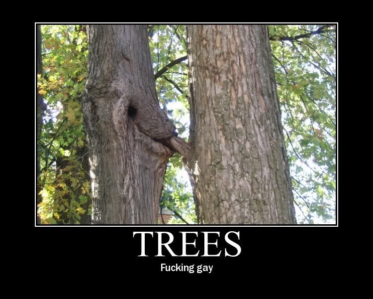 Post a Pic - Page 11 Gaytrees