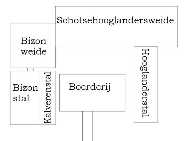 Zacs Boerderij [Schotse Hooglanderfokkerij] Drol