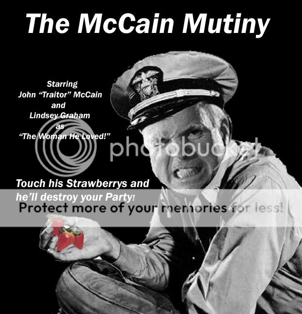 The picture association game (56K Beware!) - Seite 10 Mccain-mutiny