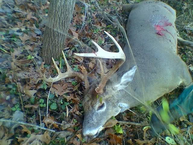 9 point down Mybuck