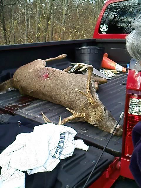 9 point down Mybucks23