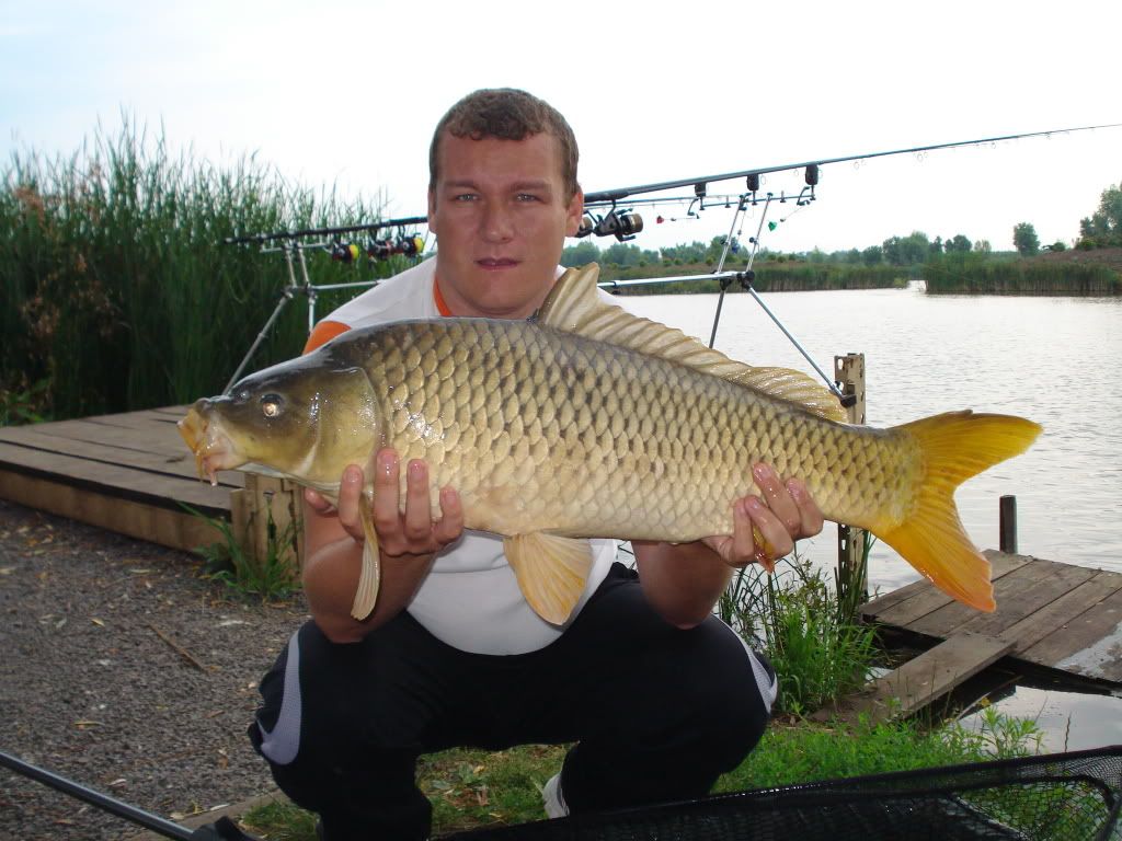 concediu pe Nagykallo 76kg