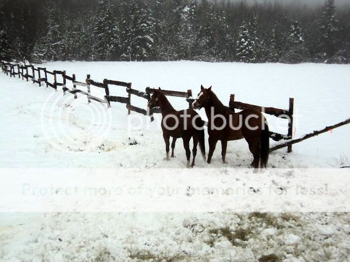 Winter Days! TheGirls-1