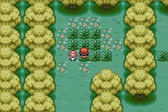 [HD] Pokemon Fire Red/ Leaf Green Pokemon-LeafGreenVersion_26