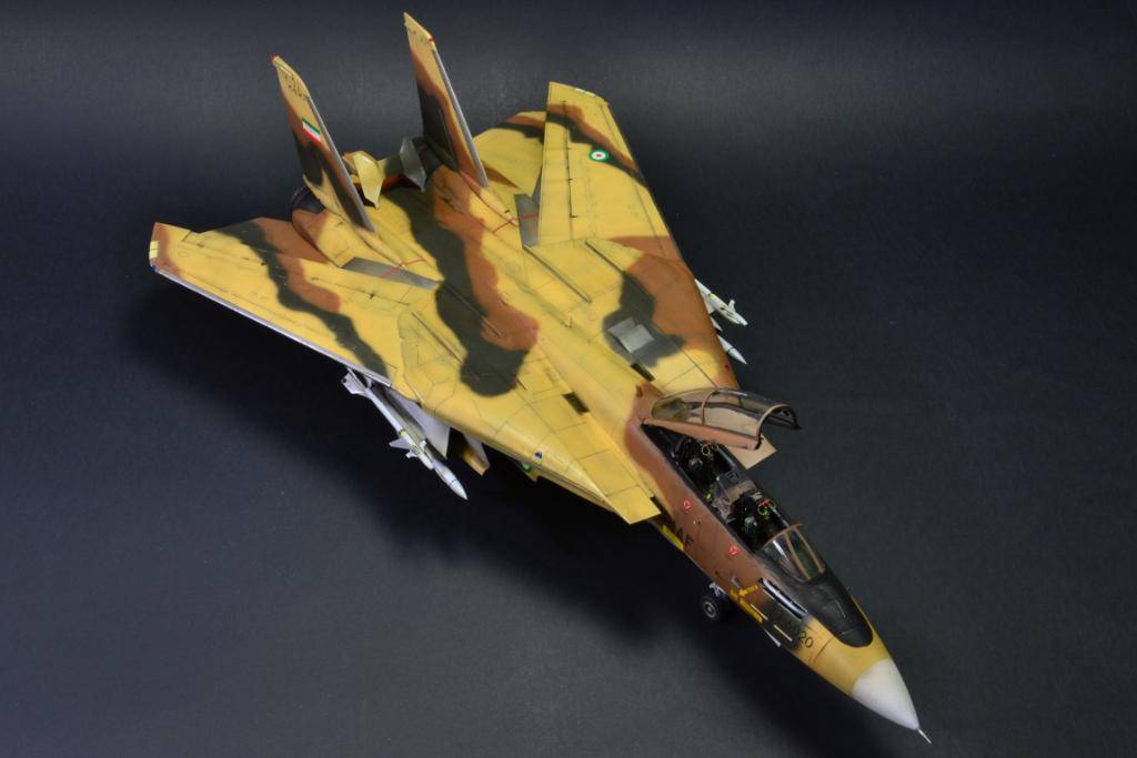 IRIAF F-14A Tomcat "Alicat", 1/48 Hasegawa med godis. DSC_1063