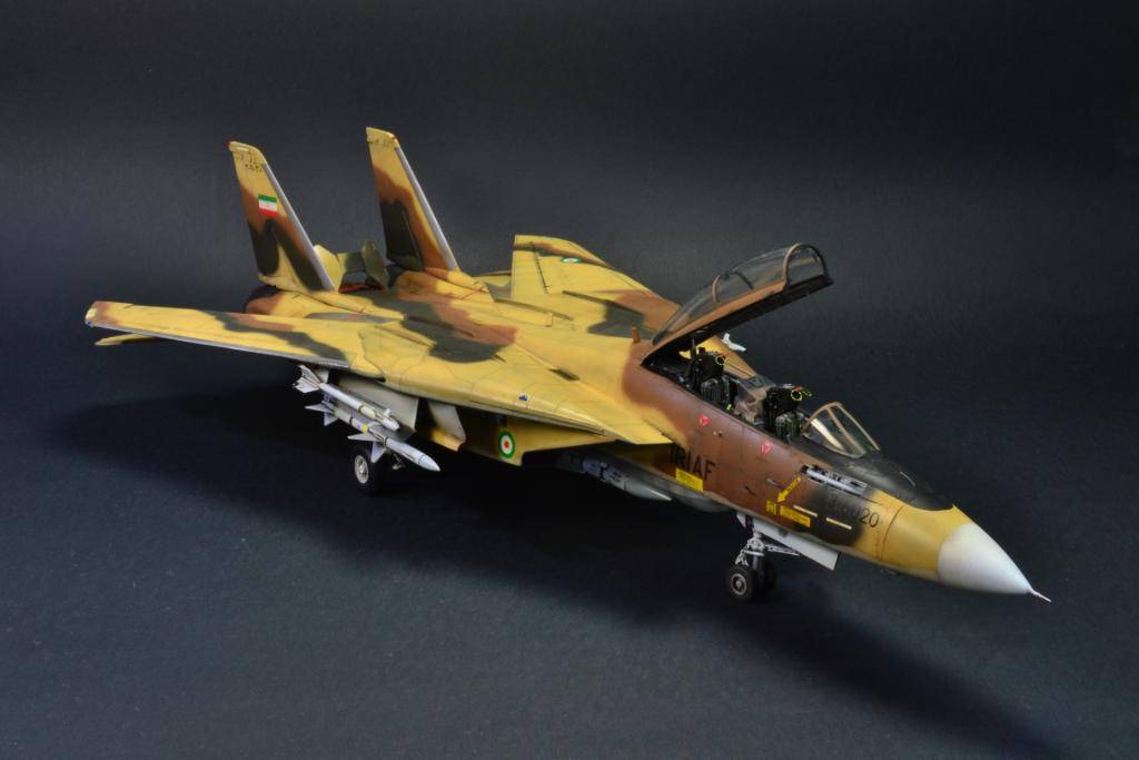 IRIAF F-14A Tomcat "Alicat", 1/48 Hasegawa med godis. DSC_1136