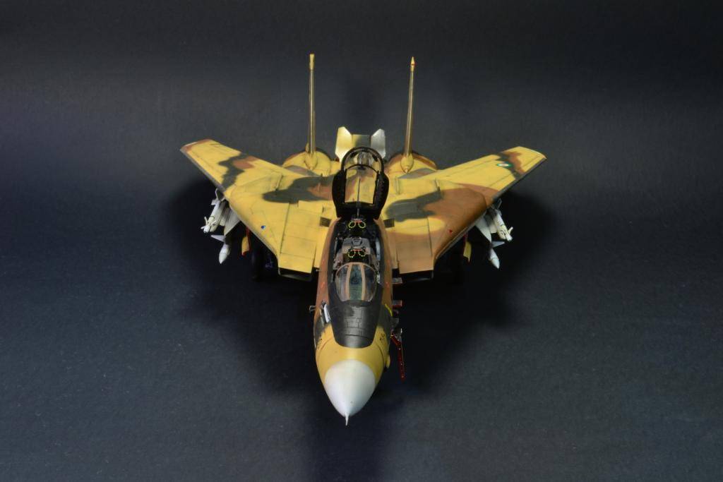 IRIAF F-14A Tomcat "Alicat", 1/48 Hasegawa med godis. DSC_1139