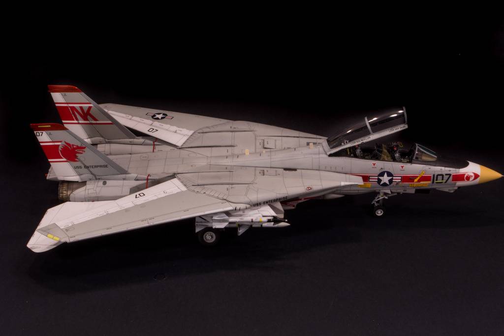 F-14A Tomcat, VF-1 Wolfpack DSC_3209_zpsss3vcp1o