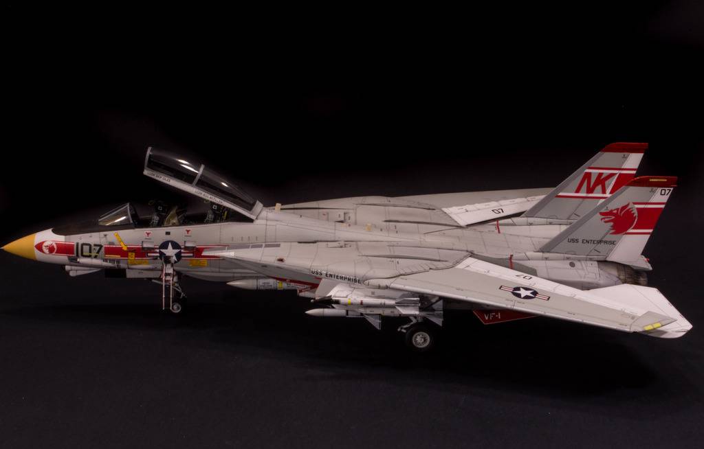 F-14A Tomcat, VF-1 Wolfpack DSC_3223_zpsle0mvrhq