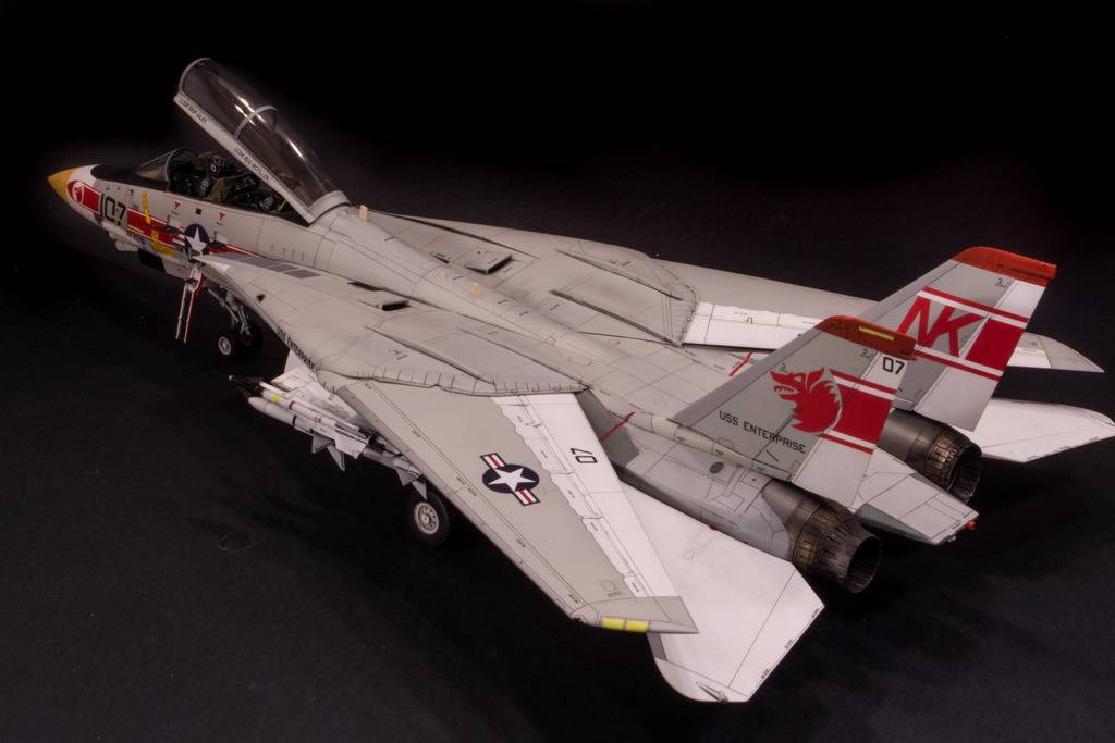 F-14A Tomcat, VF-1 Wolfpack DSC_3227_zpsyeosoehh