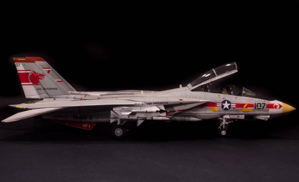 F-14A Tomcat, VF-1 Wolfpack DSC_3268_zpsqhlx14jy