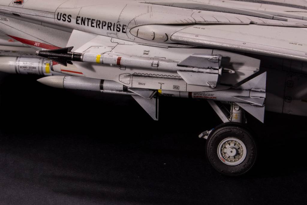 F-14A Tomcat, VF-1 Wolfpack DSC_3285_zpsghic1ktv