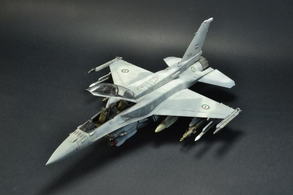 F-16F Desert Falcon, 1/48 Kinetic DSC_5439_zpsb363a77d