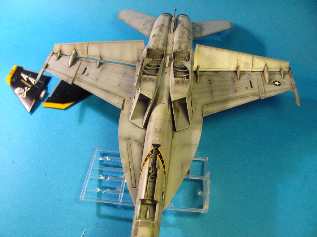 F-18F Super Hornet,  Hasegawa 1/48 - Sida 8 IMG_3034