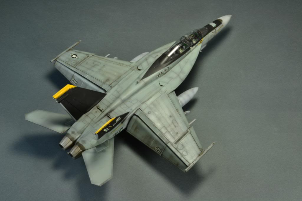 F-18F Super Hornet,VFA-103 Jolly Roger,  Hasegawa 1/48 DSC_0403