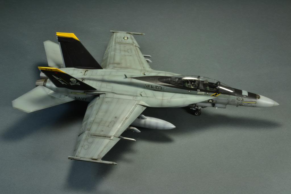 F-18F Super Hornet,VFA-103 Jolly Roger,  Hasegawa 1/48 DSC_0406