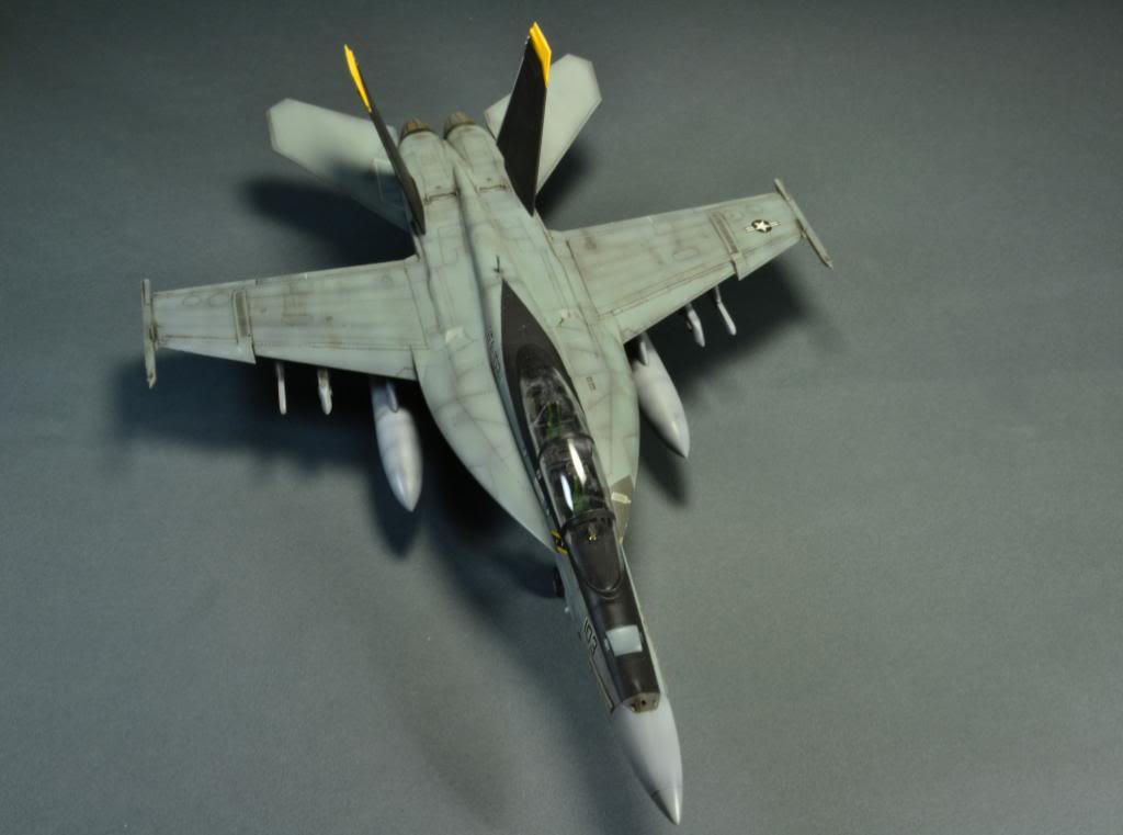 F-18F Super Hornet,VFA-103 Jolly Roger,  Hasegawa 1/48 DSC_0408