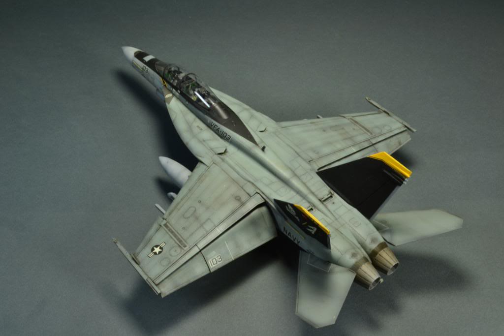 F-18F Super Hornet,VFA-103 Jolly Roger,  Hasegawa 1/48 DSC_0413