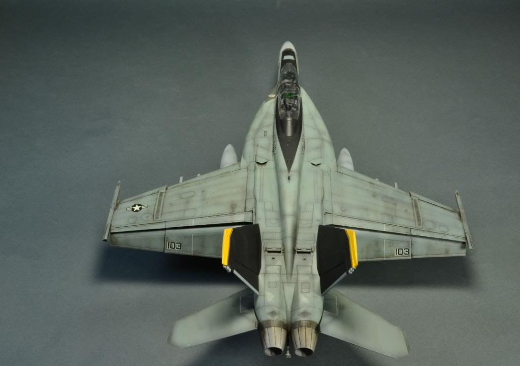 F-18F Super Hornet,VFA-103 Jolly Roger,  Hasegawa 1/48 DSC_0417