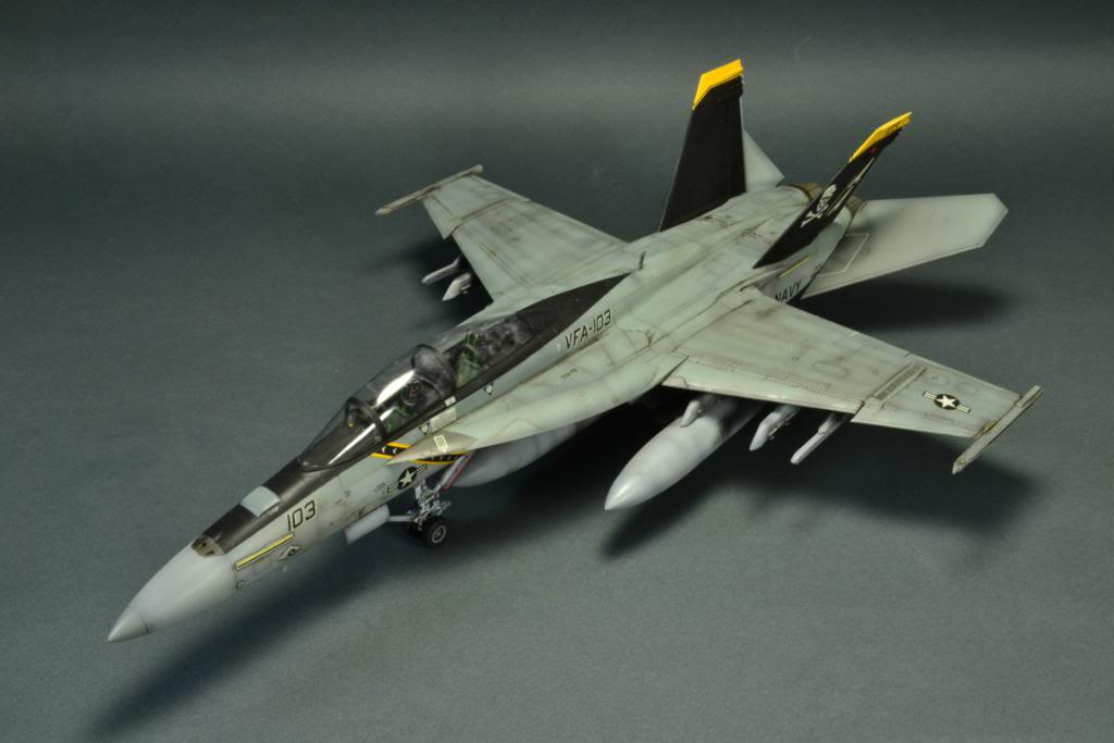 F-18F Super Hornet,VFA-103 Jolly Roger,  Hasegawa 1/48 DSC_0427