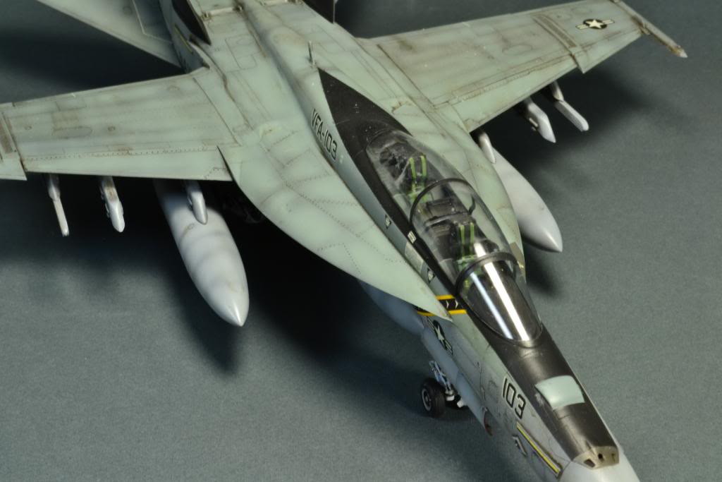 F-18F Super Hornet,VFA-103 Jolly Roger,  Hasegawa 1/48 DSC_0429