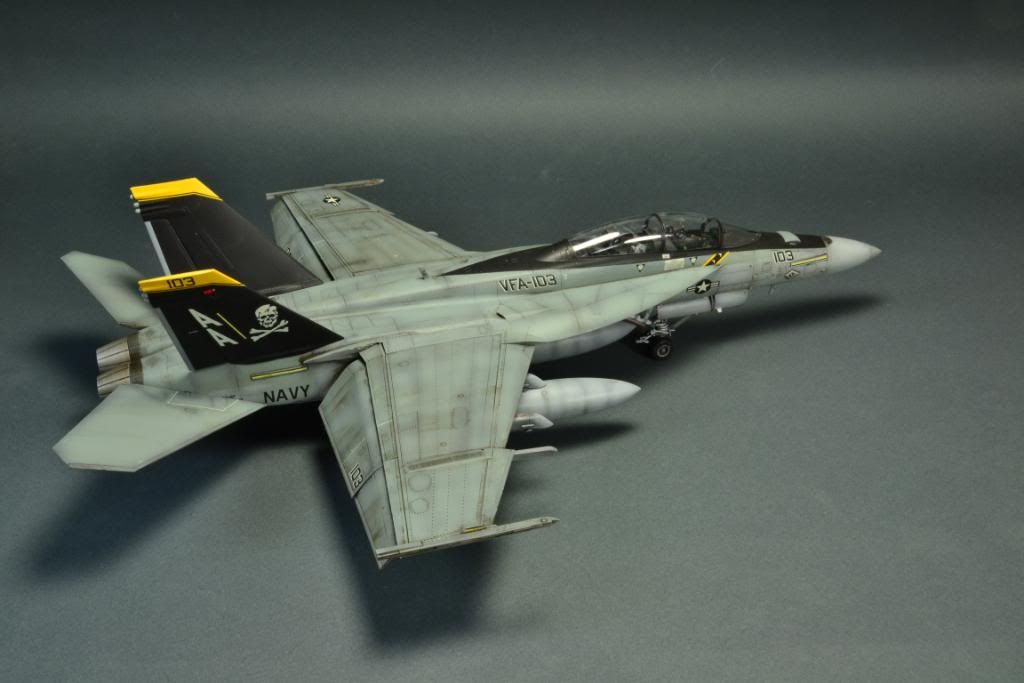 F-18F Super Hornet,VFA-103 Jolly Roger,  Hasegawa 1/48 DSC_0431