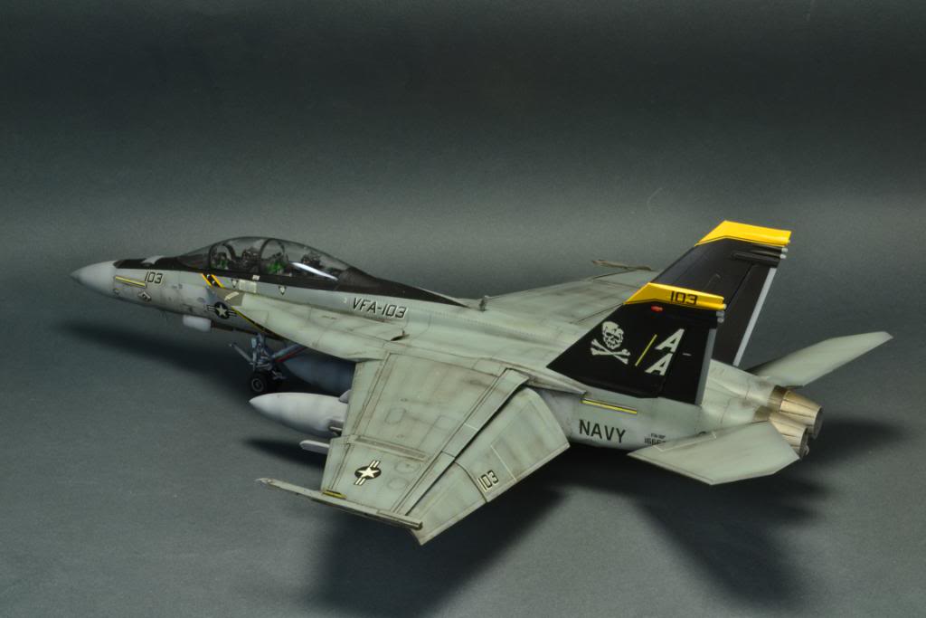 F-18F Super Hornet,VFA-103 Jolly Roger,  Hasegawa 1/48 DSC_0440