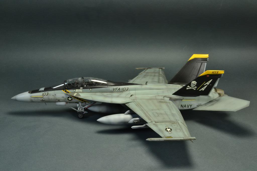 F-18F Super Hornet,VFA-103 Jolly Roger,  Hasegawa 1/48 DSC_0443