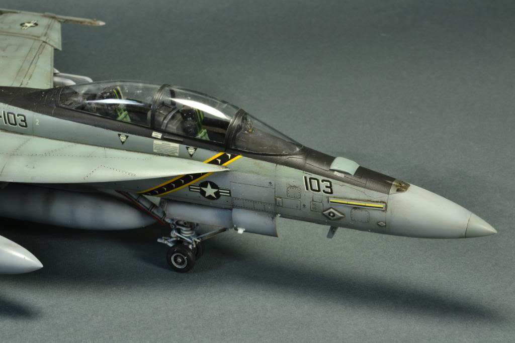 F-18F Super Hornet,VFA-103 Jolly Roger,  Hasegawa 1/48 DSC_0452