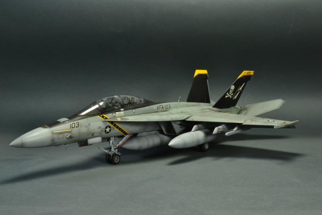 F-18F Super Hornet,VFA-103 Jolly Roger,  Hasegawa 1/48 DSC_0462