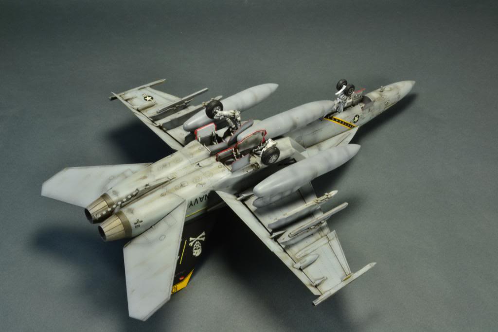 F-18F Super Hornet,VFA-103 Jolly Roger,  Hasegawa 1/48 DSC_0473