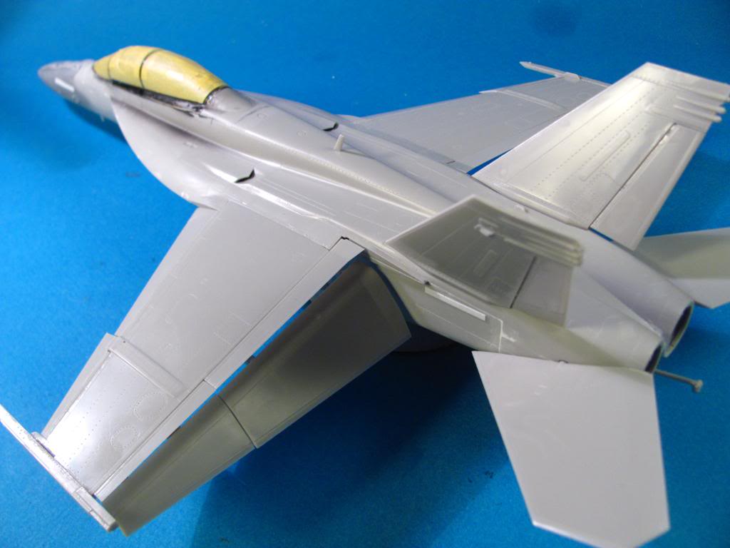 F-18F Super Hornet,  Hasegawa 1/48 - Sida 3 IMG_2963
