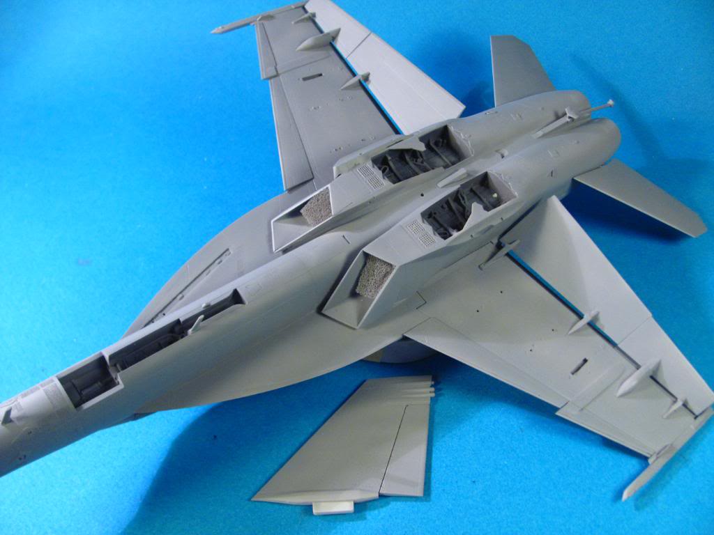 F-18F Super Hornet,  Hasegawa 1/48 - Sida 3 IMG_2975