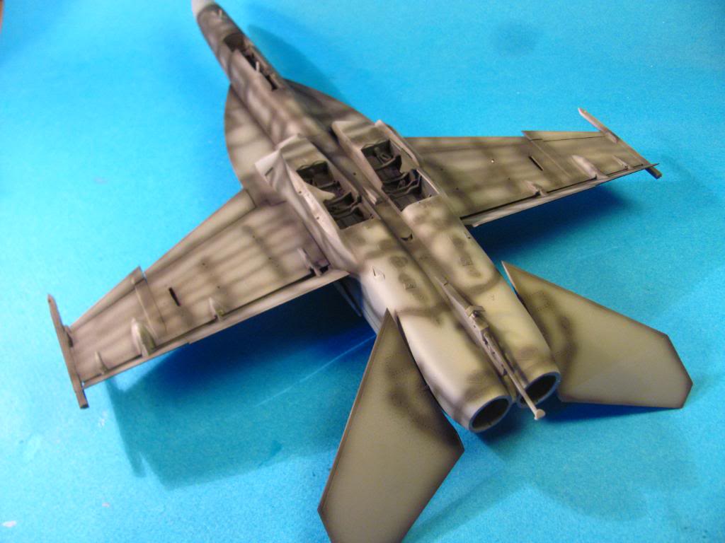 F-18F Super Hornet,  Hasegawa 1/48 - Sida 4 IMG_2982